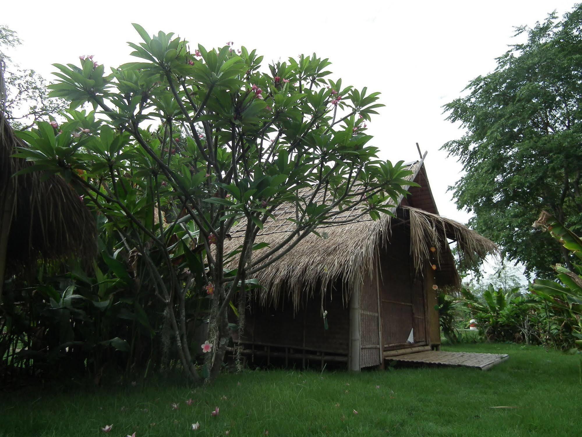 Готель Pai Bamboo Hut Екстер'єр фото