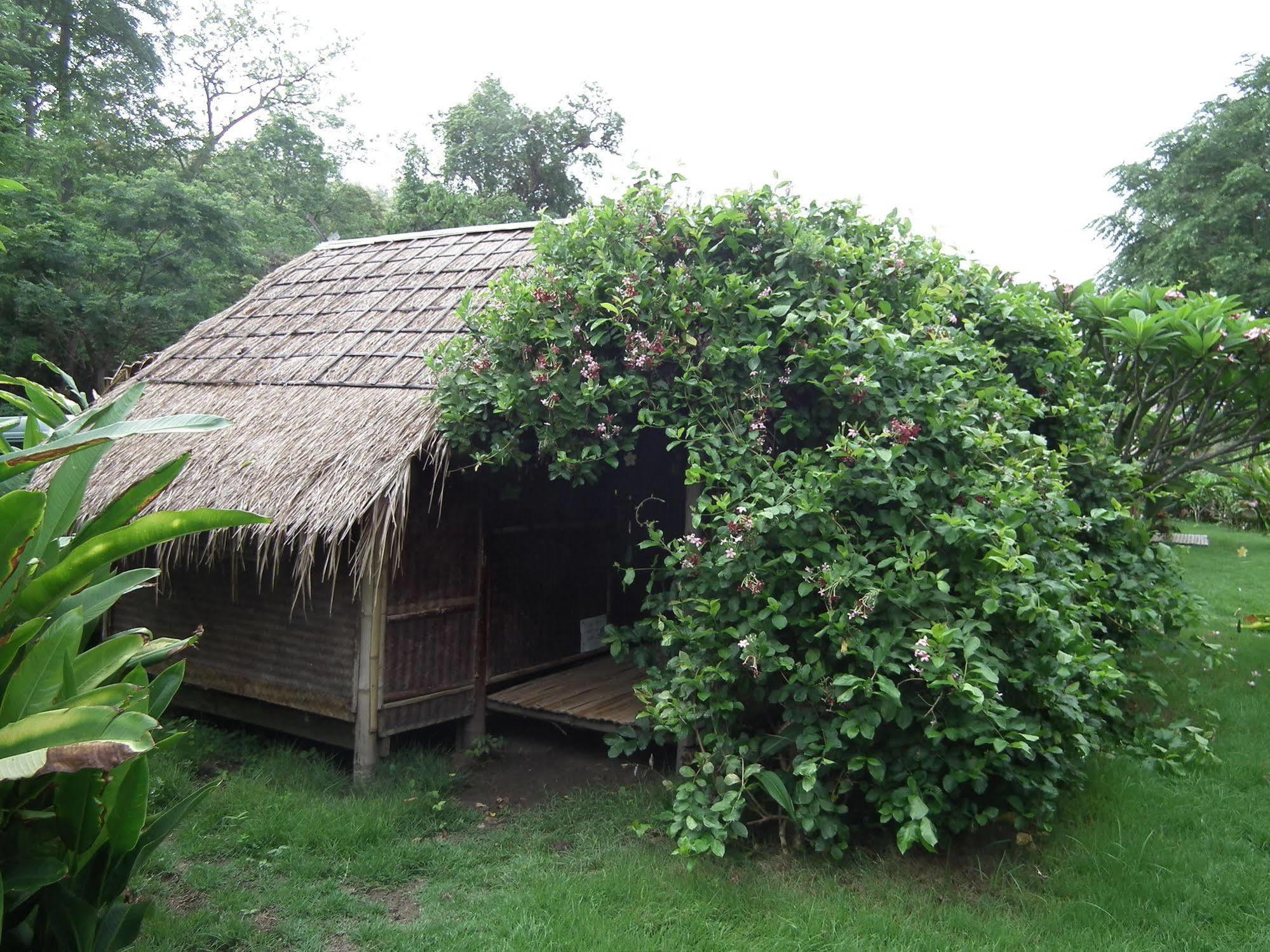 Готель Pai Bamboo Hut Екстер'єр фото